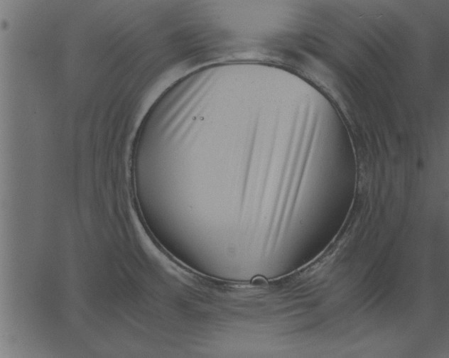 X0000062601483200601110929