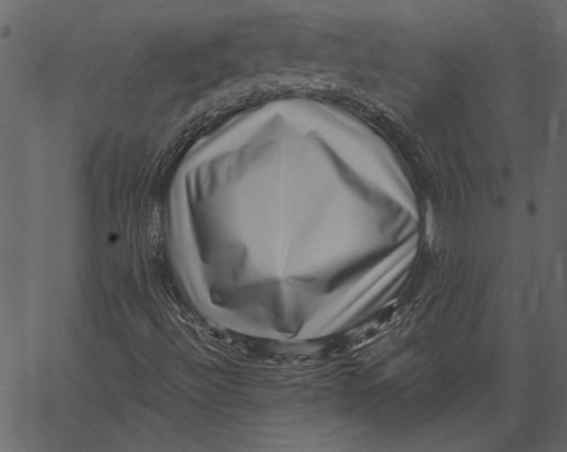 X0000062601492200601110929