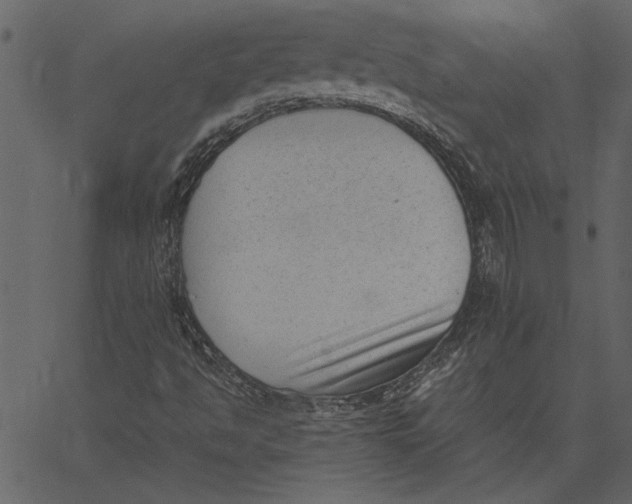 X0000062601494200601110929