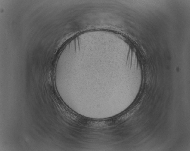 X0000062601497200601110929
