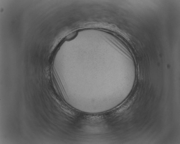 X0000062601501200601110929