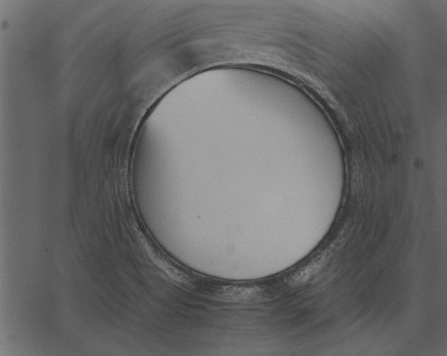 X0000062601513200601110929