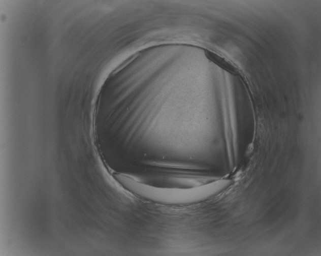 X0000062601528200601110929