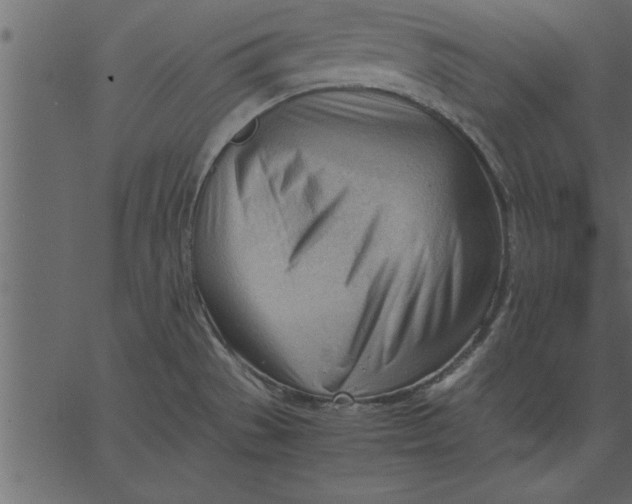 X0000062601529200601110929
