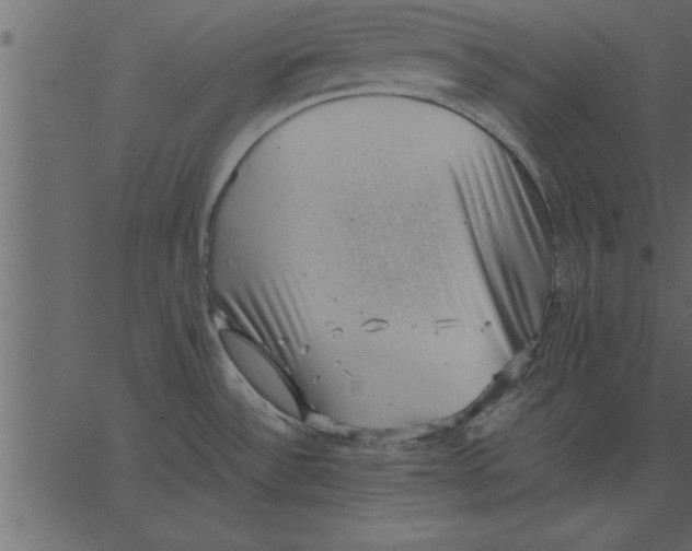 X0000062601532200601110929