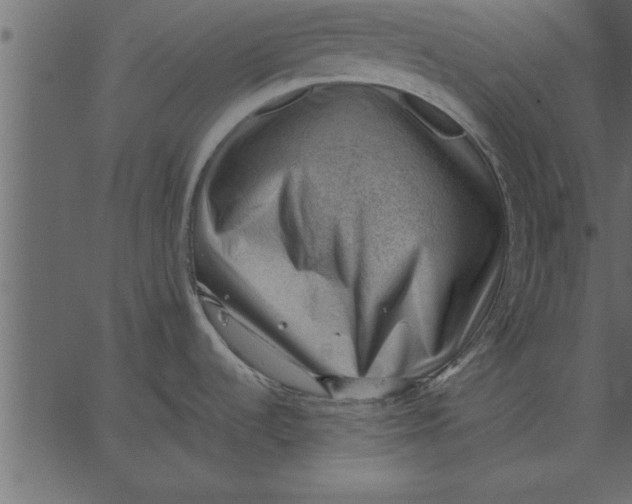 X0000062601536200601110929