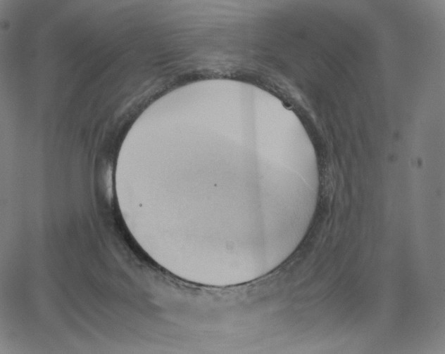 X0000062600027200601181615