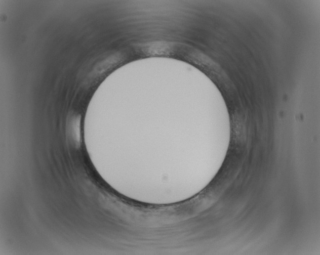X0000062600028200601181615