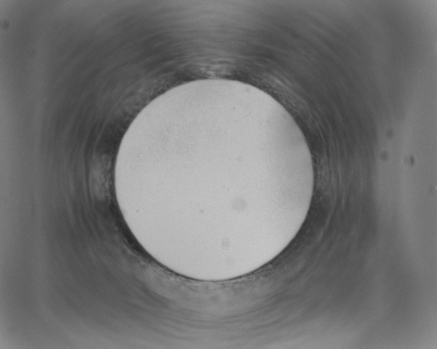 X0000062600030200601181615