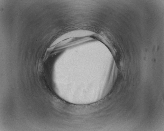 X0000062600037200601181615
