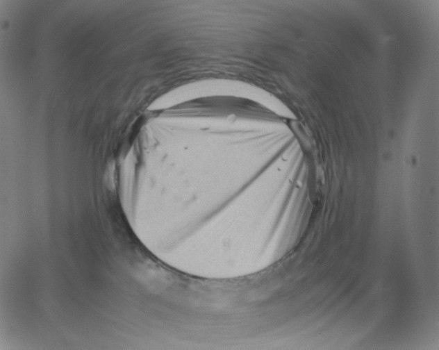 X0000062600041200601181615