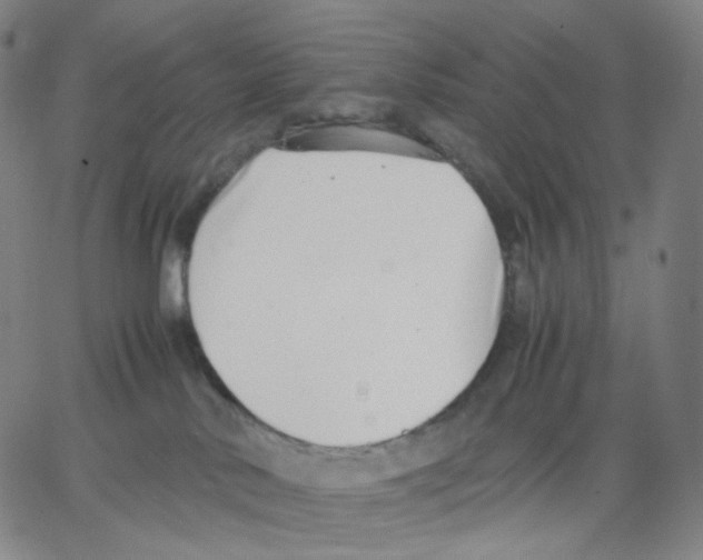 X0000062600042200601181615