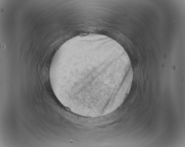 X0000062600043200601181615