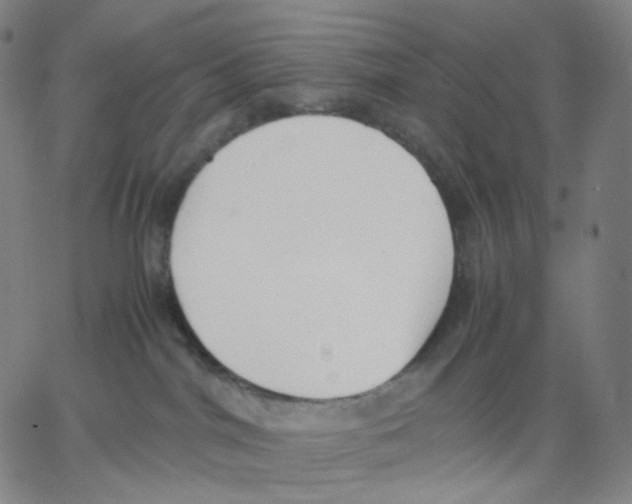 X0000062600044200601181615