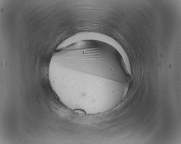 X0000062600045200601181615