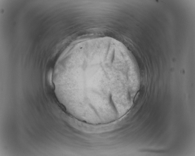 X0000062600047200601181615