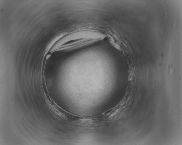 X0000062600052200601181614