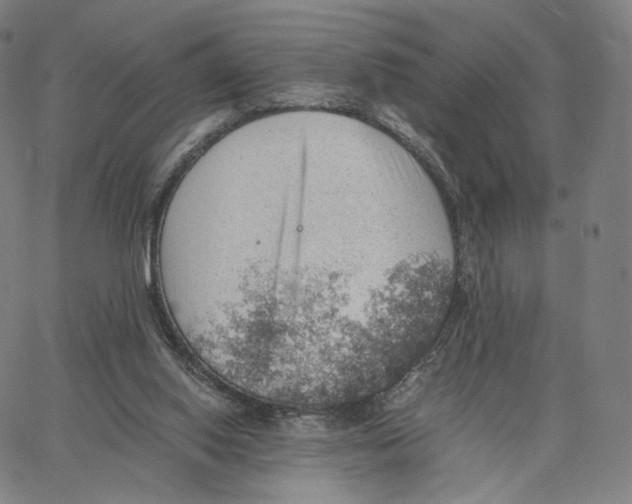 X0000062600062200601181615