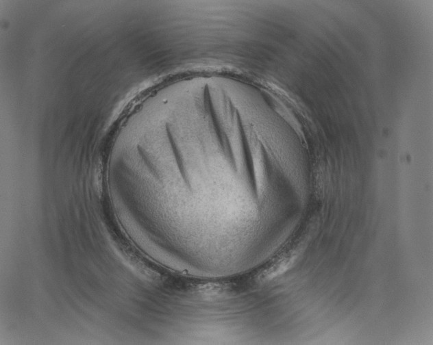 X0000062600064200601181615