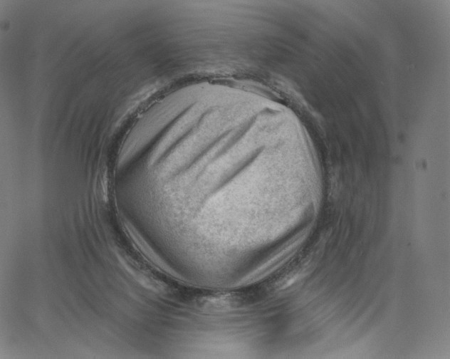 X0000062600068200601181615