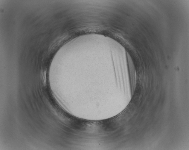 X0000062600070200601181615