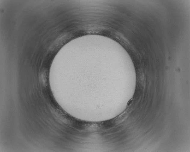X0000062600074200601181615