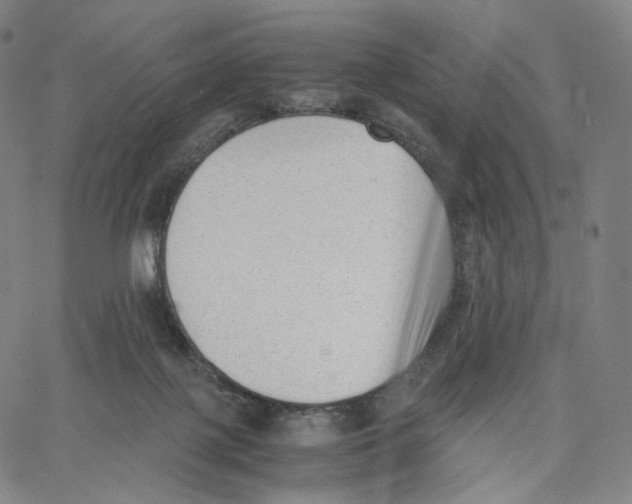 X0000062600075200601181615