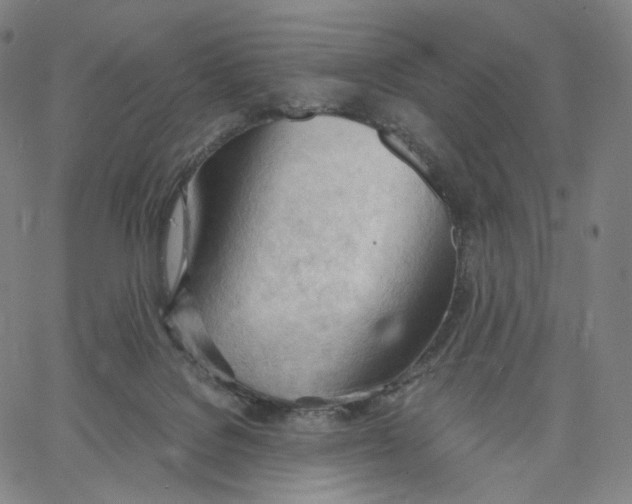 X0000062600076200601181615