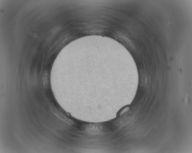 X0000062600077200601181615