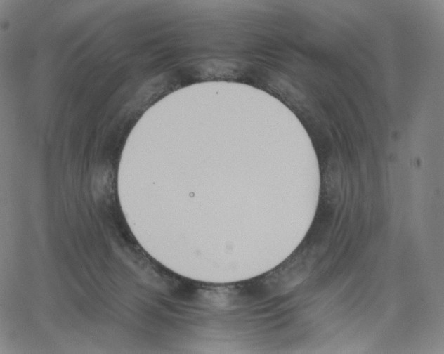 X0000062600079200601181615