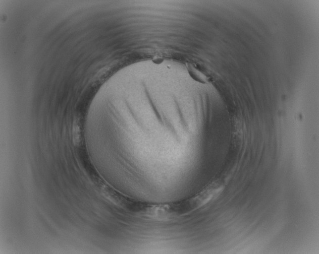 X0000062600080200601181615