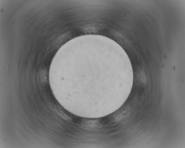 X0000062600081200601181615