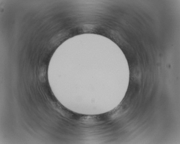 X0000062600082200601181615