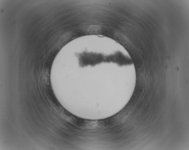 X0000062600083200601181615