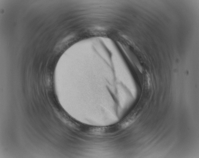 X0000062600084200601181615