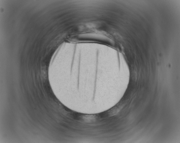 X0000062600085200601181615
