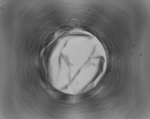 X0000062600088200601181615