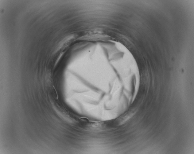 X0000062600092200601181615