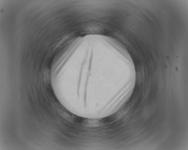 X0000062600093200601181615