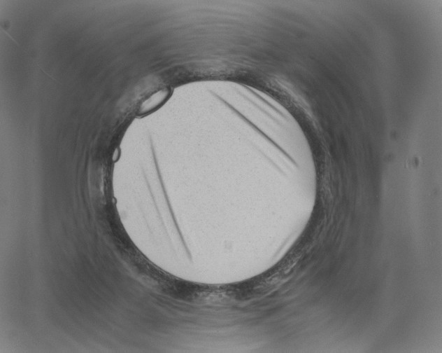 X0000062600115200601181614