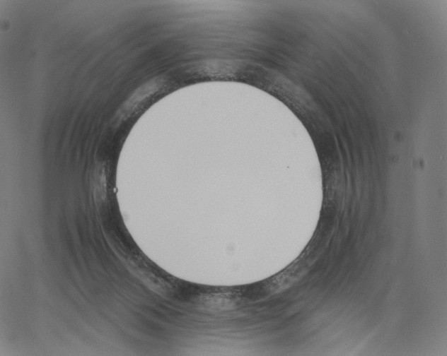 X0000062600120200601181614