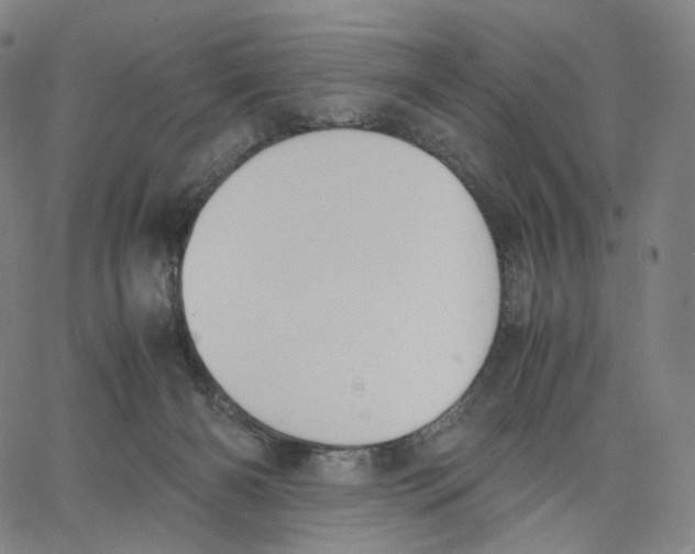 X0000062600126200601181614