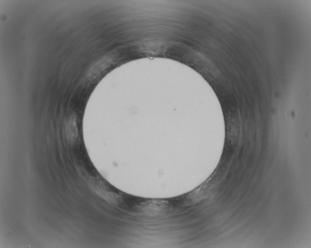 X0000062600128200601181614