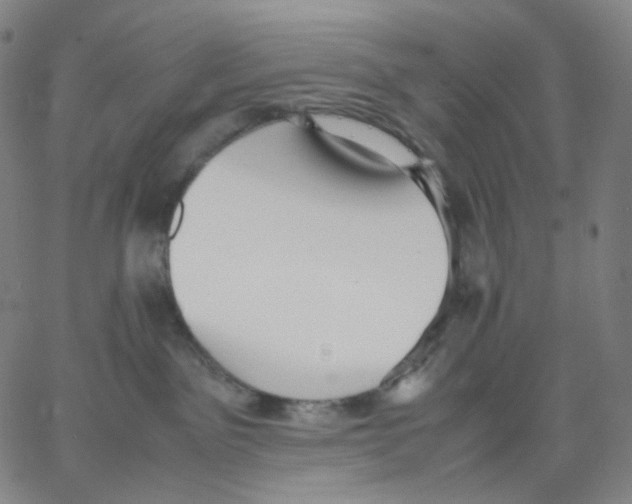 X0000062600141200601181614
