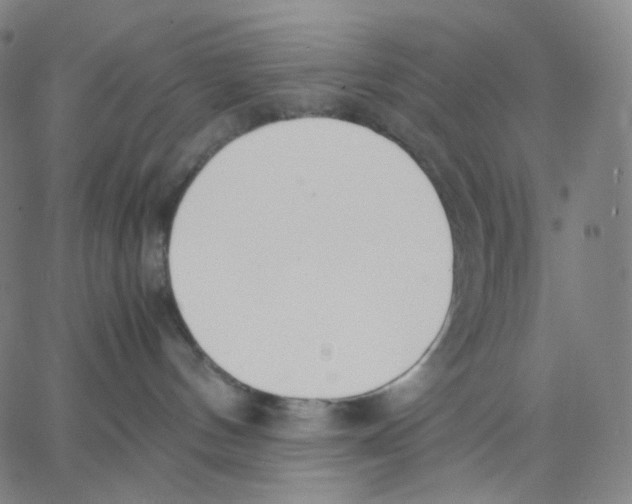 X0000062600144200601181614