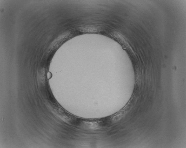 X0000062600167200601181613