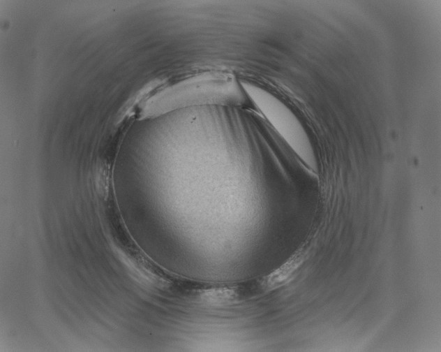 X0000062600168200601181613