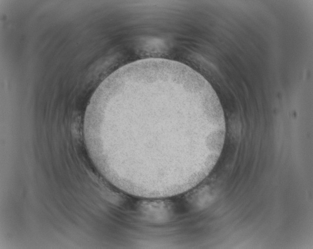 X0000062600181200601181613
