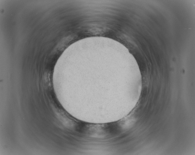 X0000062600182200601181613