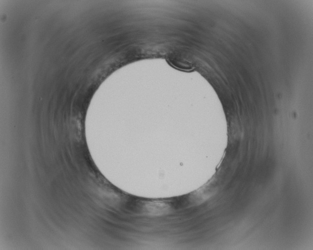 X0000062600183200601181613